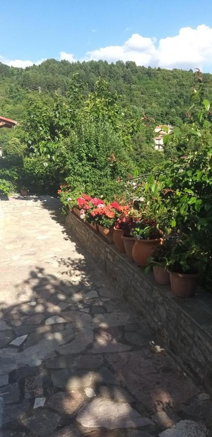 KarpenísionΤο Σπίτι Της Ευτυχίας Σουίταアパートメント エクステリア 写真